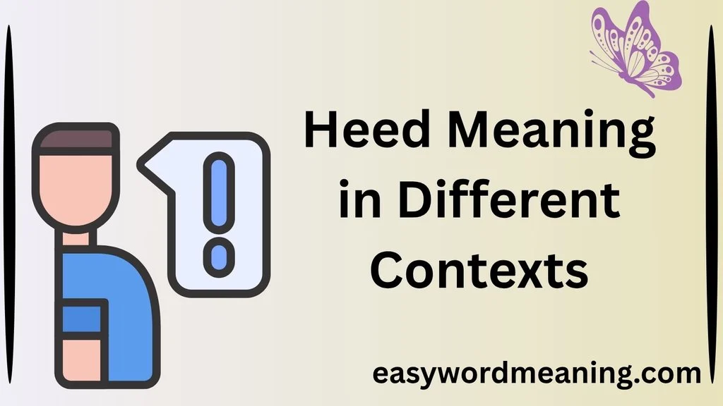 Heed Meaning in Different Contexts