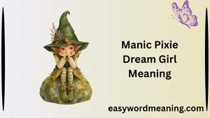Manic Pixie Dream Girl Meaning