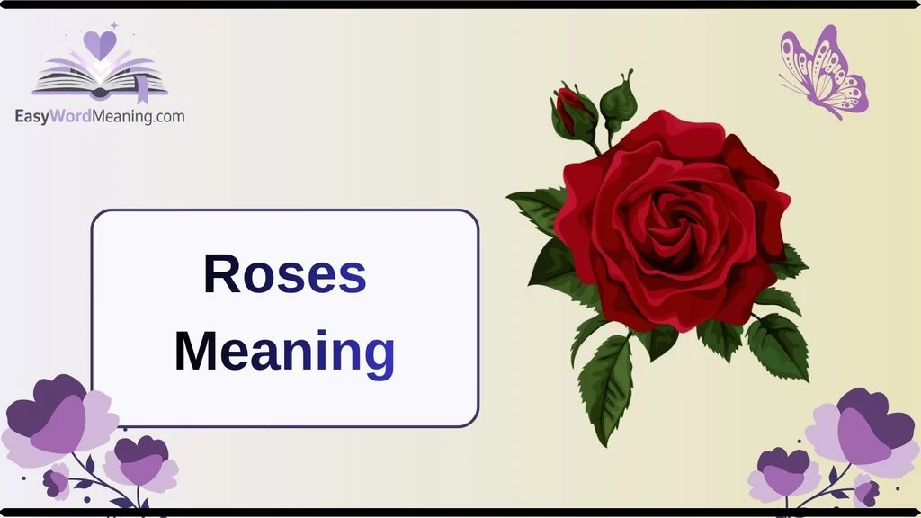 Roses Meaning