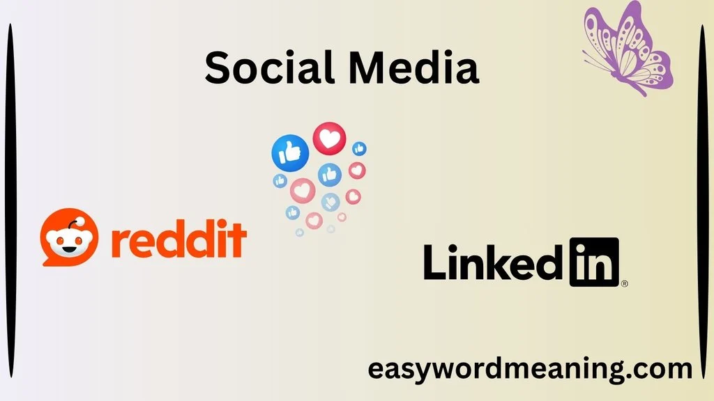 Social Media