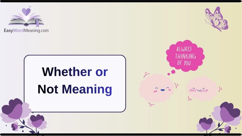 Whether or Not Meaning