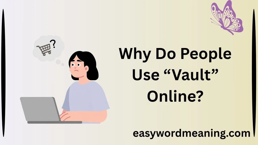 Why Do People Use “Vault” Online?