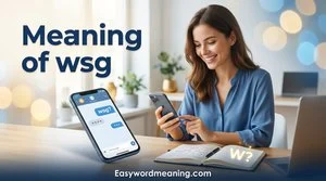Meaning of wsg